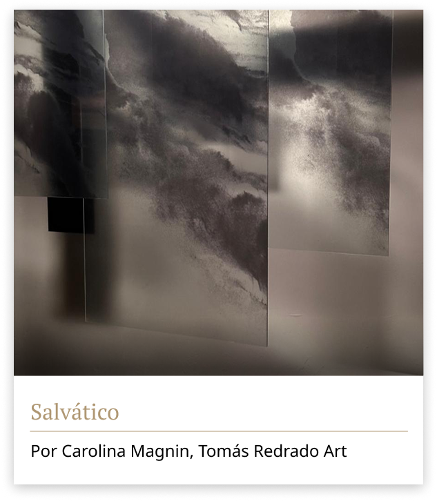 Salvático - Por Carolina Magnin, Tomás Redrado Art Salvático - Por Carolina Magnin, Tomás Redrado Art